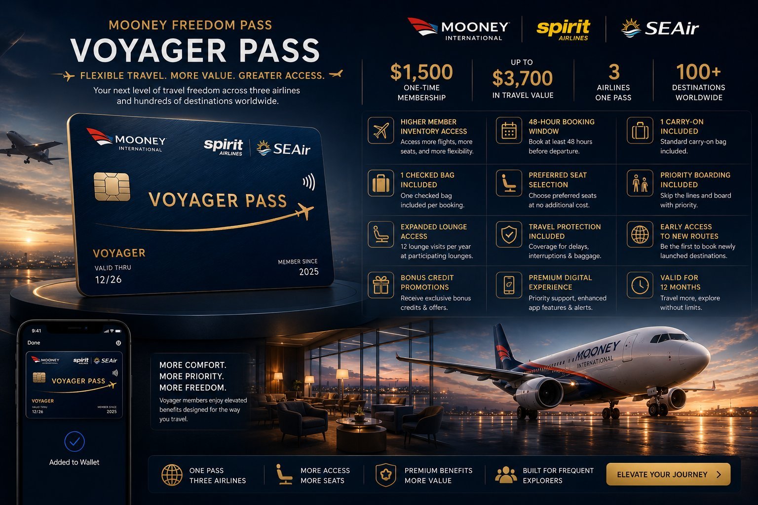 Mooney Voyager Pass Detailed Dashboard Overview